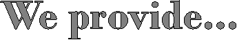 We provide...